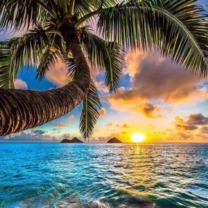 Meet your Posher, Shelly